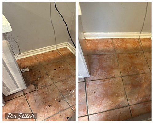 Before and After Kitchen Cleaning Image Freedom Can Services